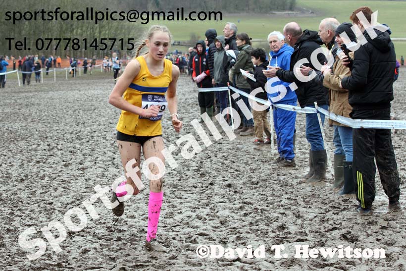 Girls under-15s 2018 British Inter Counties Cross Country Champs., Prestwold Hall, Loughborough. Photo: David T. Hewitson/Sports for All Pics